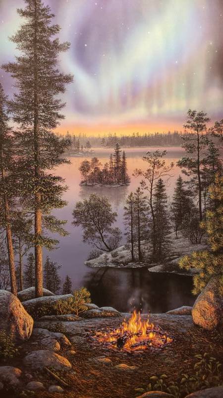 lot 31 image: Kim Norlien Night Fire Framed Print 23 x 39