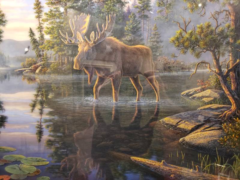 lot 47 image: Kim Norlien King of the North Framed Print in Glass 35 12 x 30