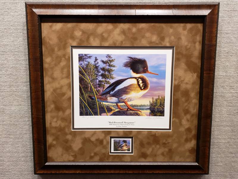 lot 2C image: Kim Norlien Red-Breasted Merganser 2000 Minnesota Duck Stamp Winner Signed and Numbered Framed Print #1907  2000
