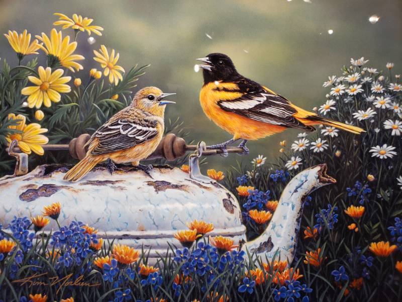 lot 65 image: Kim Norlien Tea Time Print on Metal 20 12 x 16