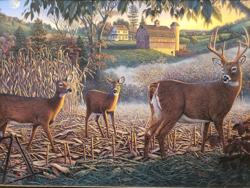 lot 70 image: Kim Norlien Field of Dreams Framed Print 21 12 x 15 34