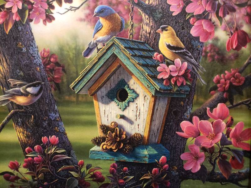 lot 76 image: Kim Norlien Springtime Beauty Framed Print 20 12 x 16 34