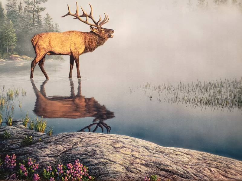 lot 77 image: Kim Norlien King of the North Framed Print 22 x 16