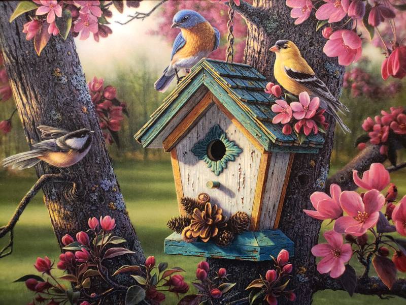 lot 87 image: Kim Norlien Springtime Beauty Framed Print 21 34 x 17 34