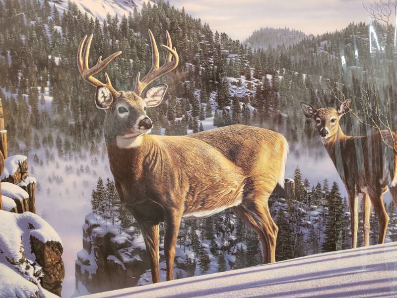 lot 126 image: Kim Norlien Pencil Signed and Numbered Limted Edition Print Morning View 37 x 19 34