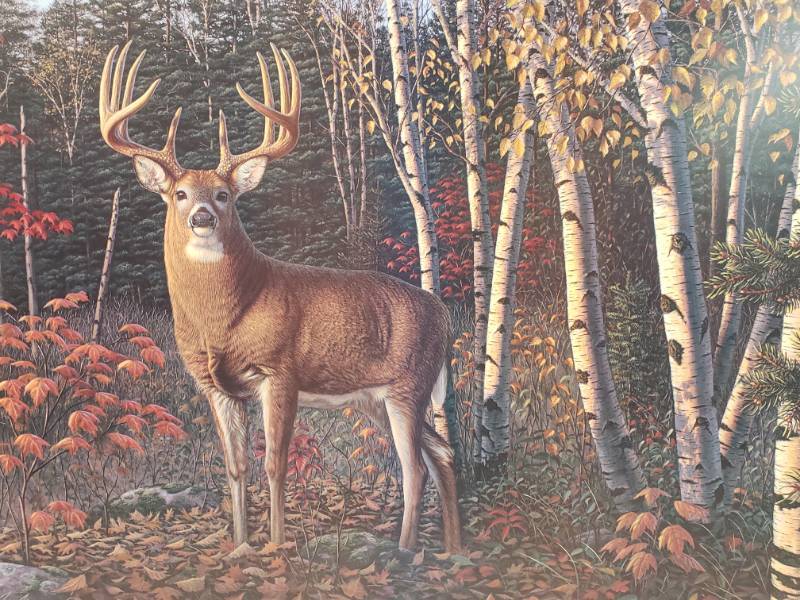 lot 127 image: Kim Norlien Pencil Signed and Numbered Limited Edition Print Autumn Sentinel 29 x 17 12
