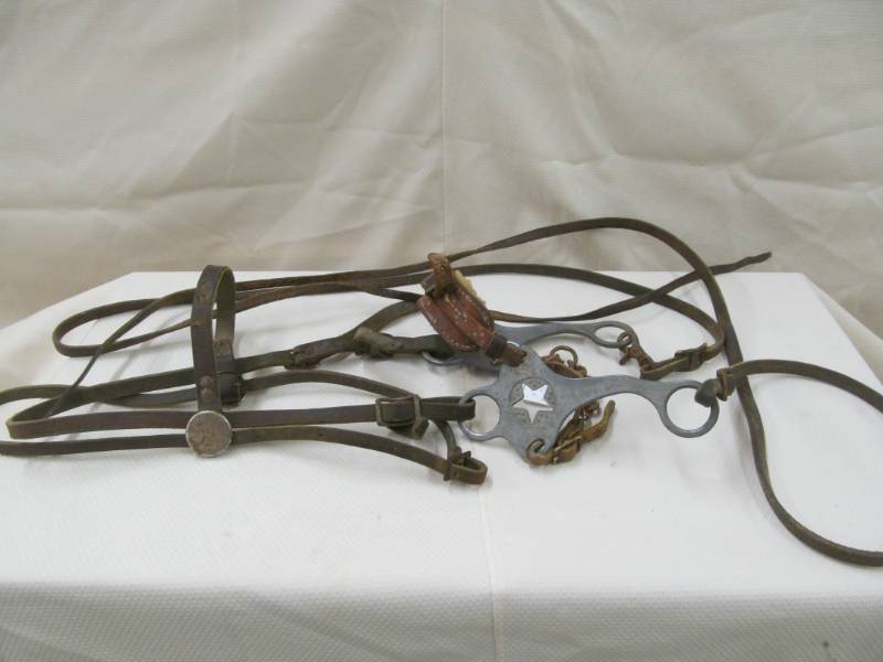 lot 146 image: Horse Tack Bridle, Bit and reins