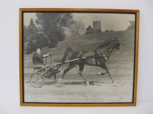 lot 128 image: LARGE Vintage Horse Chariot Racing Original Signed Photograph