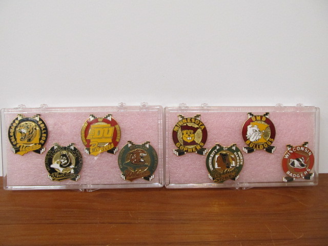lot 227 image: Nice Group of Large College Hockey Pins