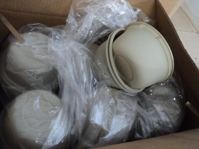 lot 199 image: Case of Tubs- 354 per box...