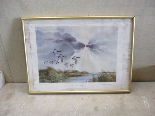 Ducks Unlimited Print