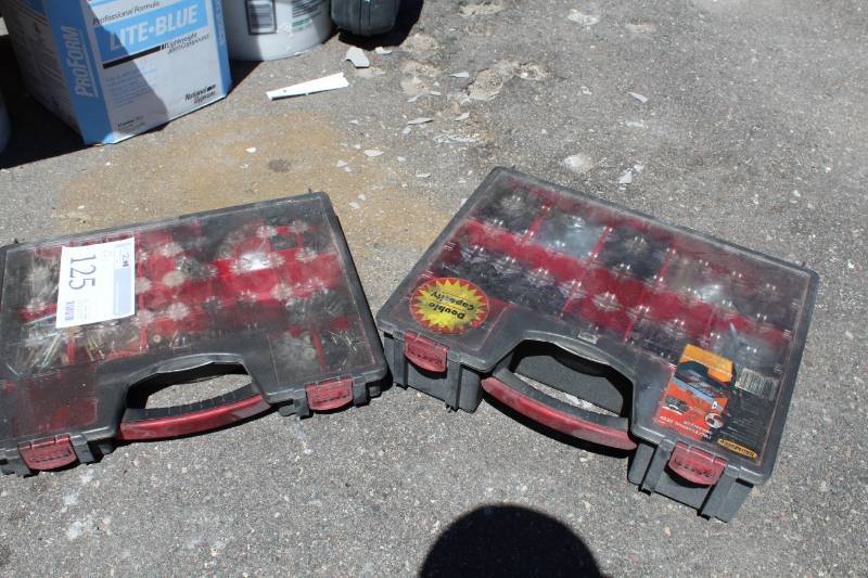 lot 125 image: Lot of (2) Parts Organizer Cases with Screws