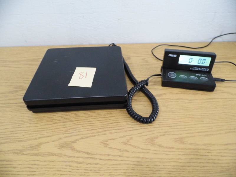 lot 81 image: AWS Scale