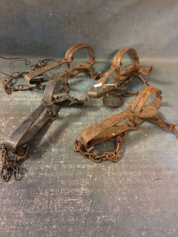 Metal Animal Traps
