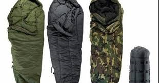 Sportsman 208