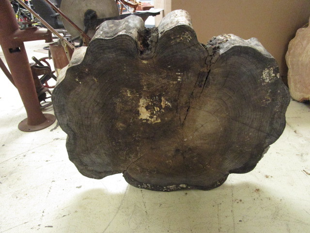 lot 507 image: TREE TRUNK SLAB