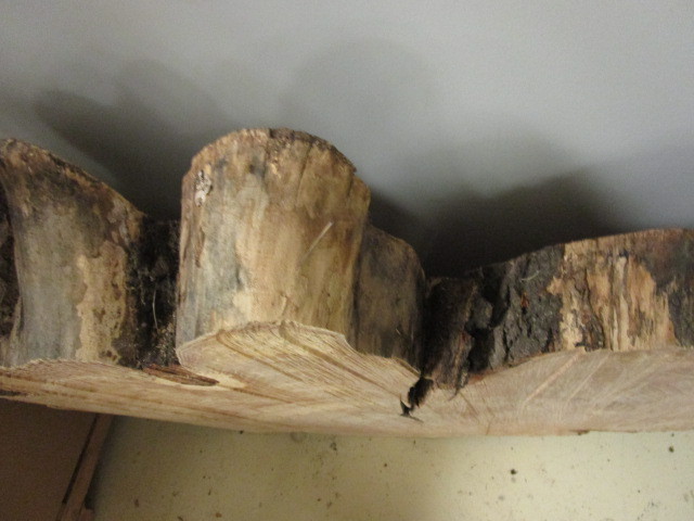 lot 508 image: TREE TRUNK SLAB