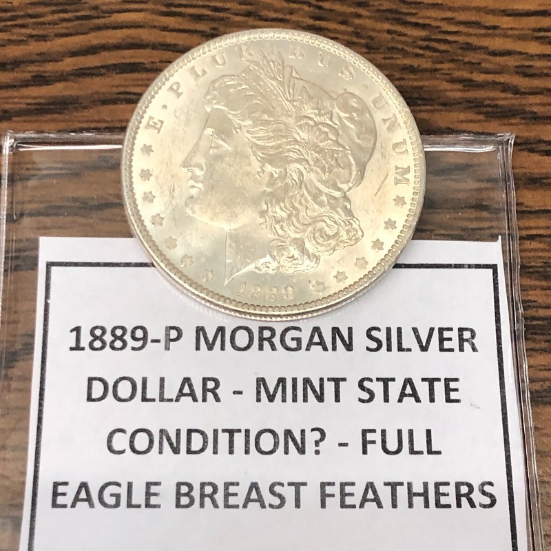 1889-P Morgan Dollar