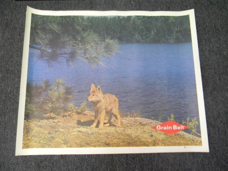 lot 13 image: RARE - VINTAGE GRAIN BELT BEER MPLS. BREWING CO. ADVERTISING PRINT - RARE - APPROX 33 BY 27 ON CANVAS TYPE PAPER - SEE PICTURES