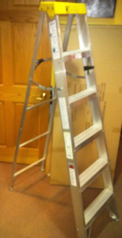 lot 1 image: Davidson aluminum 6 foot ladder.