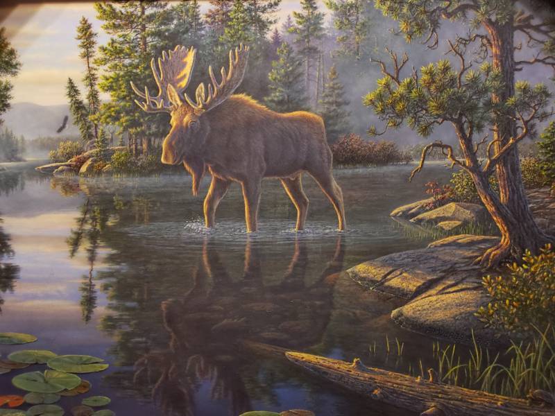 lot 46 image: Kim Norlien King of the North Framed Print 31 x 25