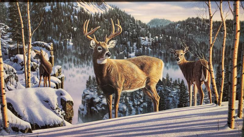 lot 49 image: Kim Norlien Morning View Old-style Signature Framed Print 30 x 17