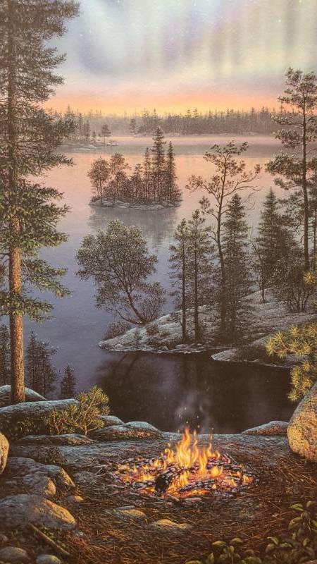 lot 56 image: Kim Norlien Hand Signed Night Fire Framed Print 15 x 26