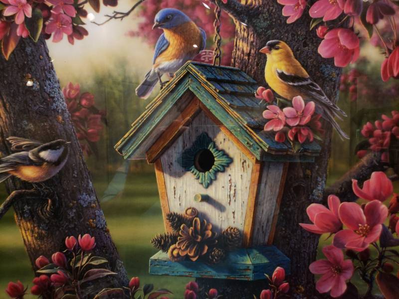 lot 73 image: Kim Norlien Springtime Beauty Framed Print in Glass 23 x 19