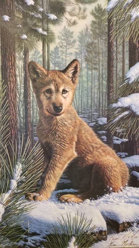lot 75 image: Kim Norlien Hand Signed Shadowland Pup Framed Print 13 12 x 23 12