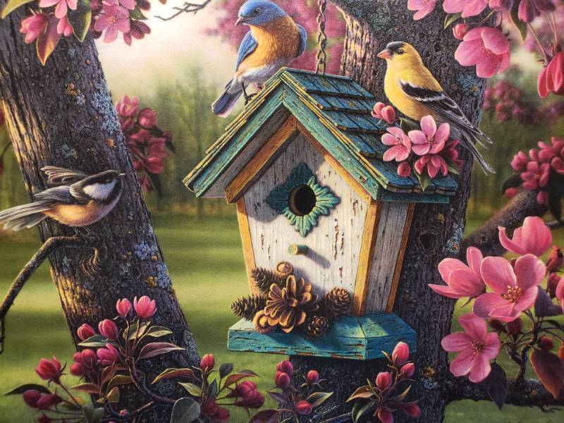 lot 78 image: Kim Norlien Springtime Melody Framed Print 20 12 x 17