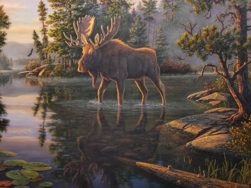 lot 87 image: Kim Norlien King of the North Framed Print 19 x 15
