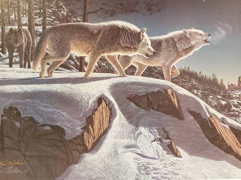 lot 104 image: Kim Norlien Hand Signed and Numbered Moonlight Prowlers Print on Canvas 34 x 22
