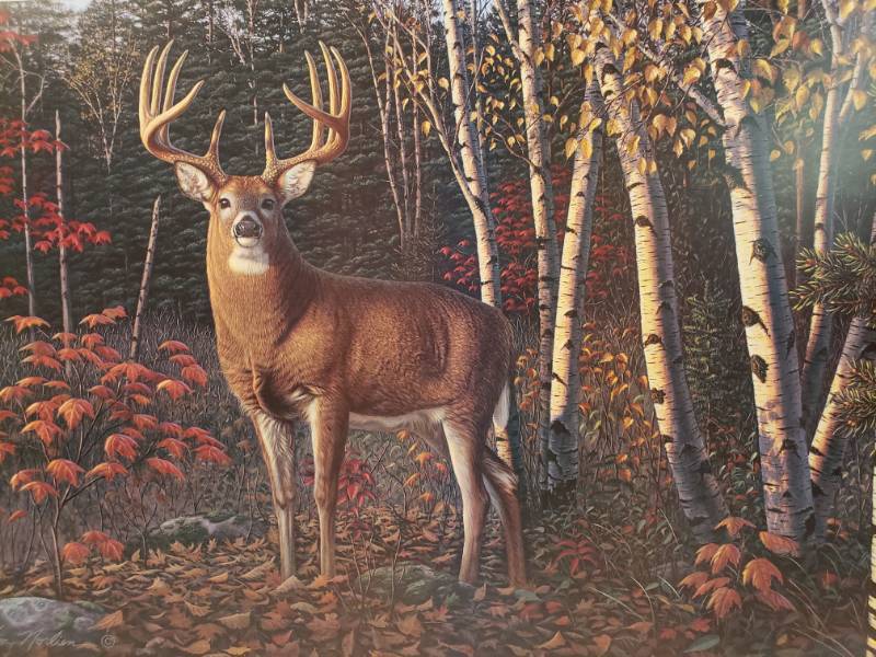 lot 112 image: Kim Norlien Pencil Signed and Numbered Autumn Sentinel Print 29 x 19