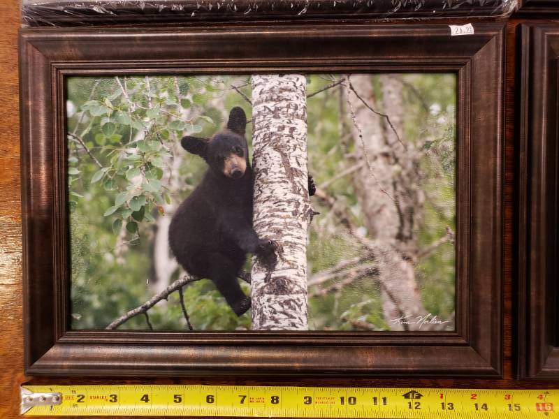 lot 129 image: (4) Kim Norlien Framed Photograph Prints Various