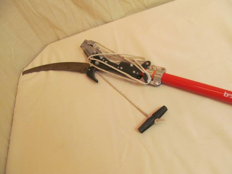 lot 100 image: Bond pole saw