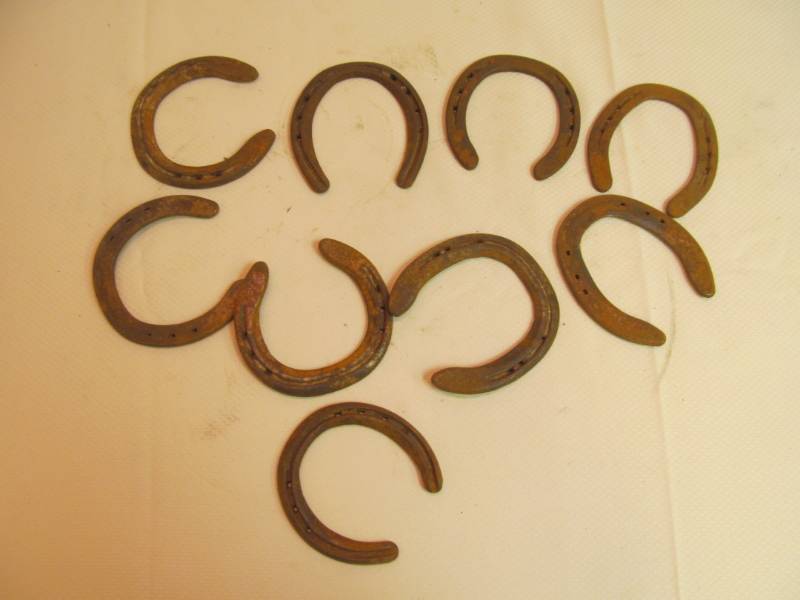 lot 168 image: Horse Shoes