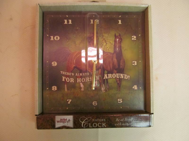 lot 196 image: Wild Wings Nature Clock