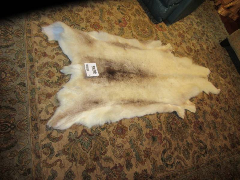 lot 134 image: WolfCoyote Pelt