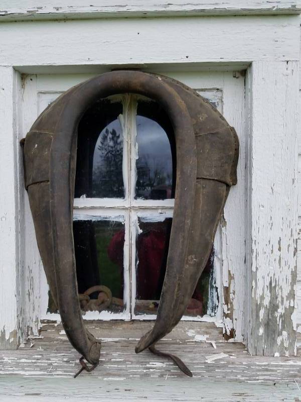 lot 172 image: 24 long Horse Collar