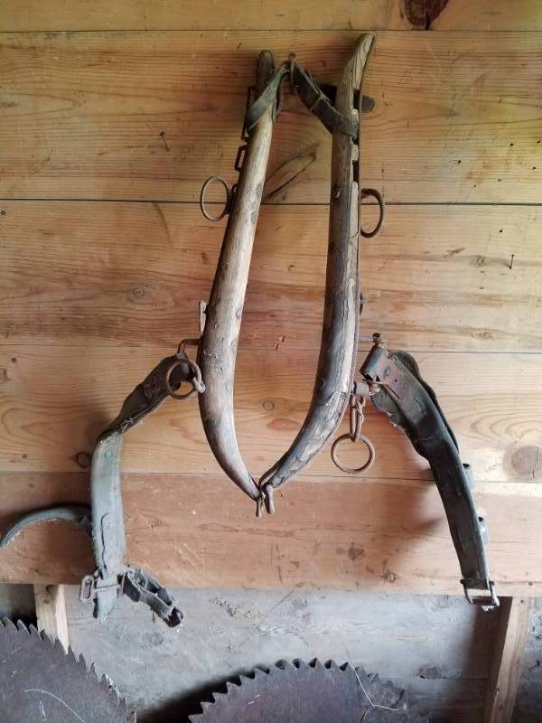 lot 174 image: 24 wood horse hames