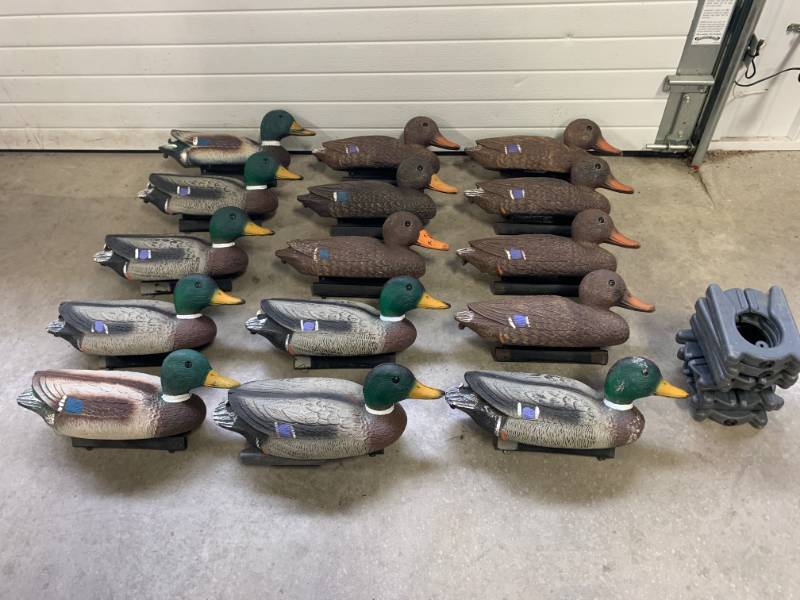lot 16 image: Flambeau Duck Decoys & 10 Weights (8 Drakes 7 Hens)