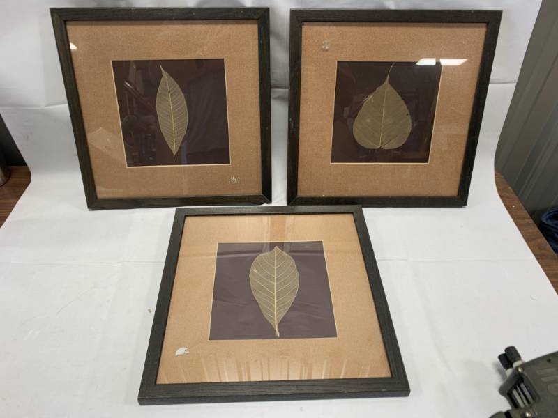 lot 39 image: Lot of 3 Bed, Bath, and Beyond Nature Framed Art 13 x 13