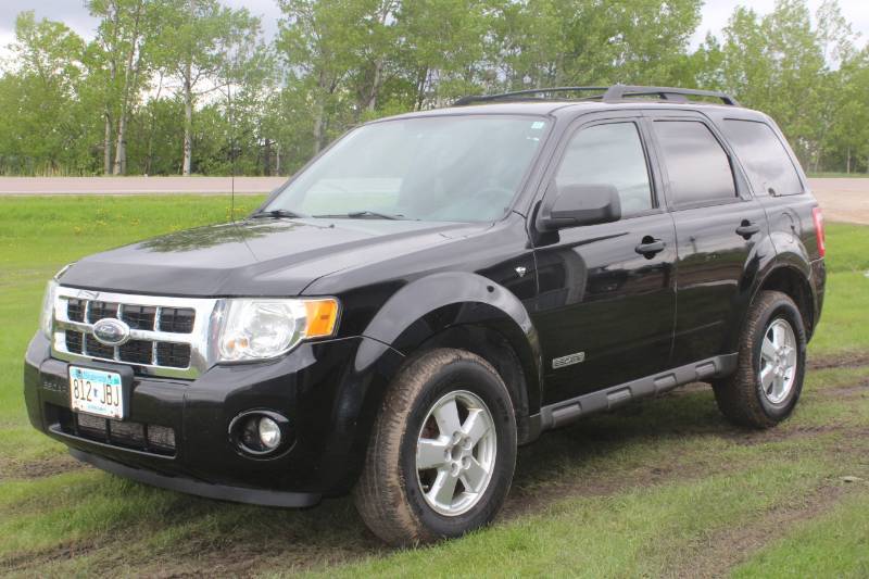 lot 3769 image: 2008 Ford Escape XLT 4x4