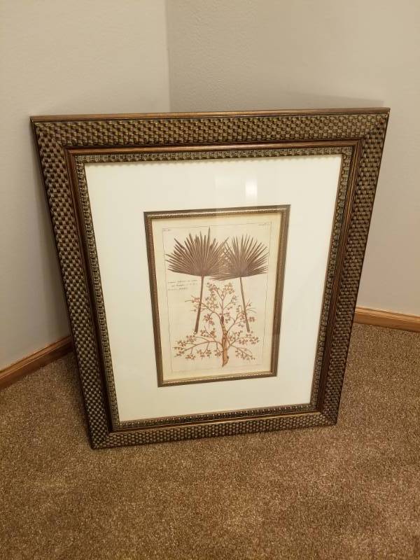 lot 75 image: Botanical Print Framed Wall Picture