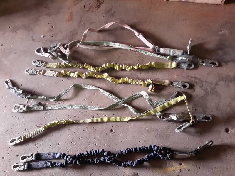lot 107 image: Heavy Duty Straps With Carabiners on Ends, Some are Bungee