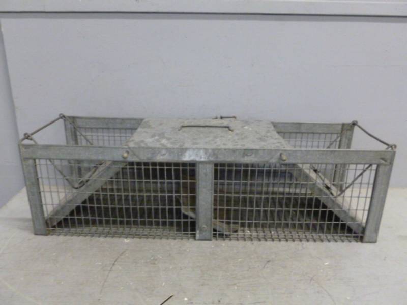lot 150 image: Live Trap