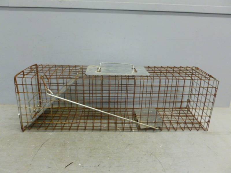 lot 151 image: Live Trap
