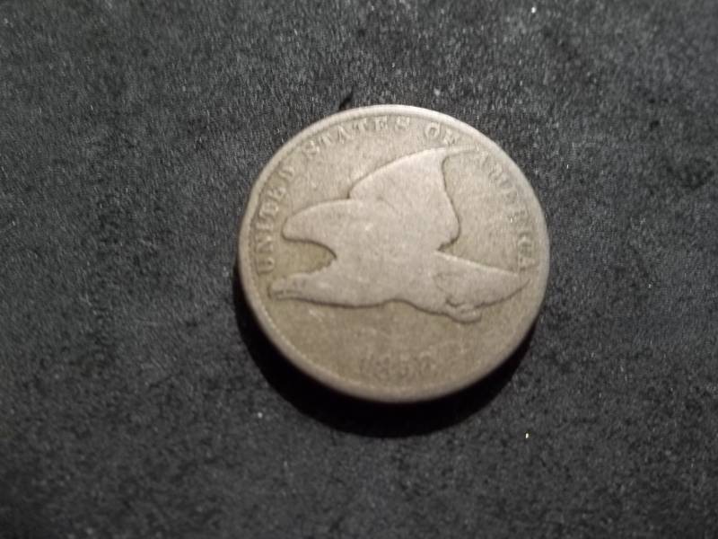 lot 115 image: 1858 Flying Eagle Cent Small Letters
