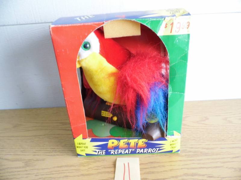 lot 11 image: Pet the Talking Parrot