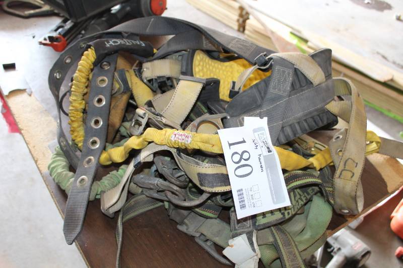 lot 180 image: FallTech Safety Harness